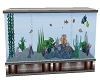 EB1 Cafe Fish Tank