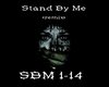 Stand By Me (remix)