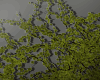 y̷ Floor Leaves Green