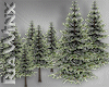 10 Snowy Pine Trees