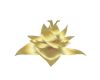 Gold Lotus Flower
