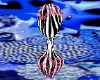 zebra wig head