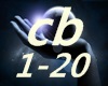 Chris Brown- cb 1-20
