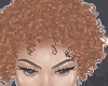 ice spice fro