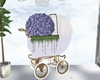 butterfly carriage