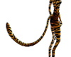 tiger furry tail