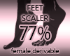 Foot Resizer 77%