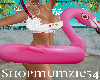 Flamingo Floatie Pink
