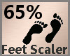 Foot  Scaler 65% F