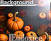 🍁​Fall Pumpkins