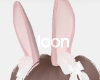 ℓ. bunny ears PI e