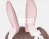 ℓ. bunny ears PI ♥