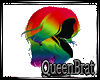 rainbow pride 