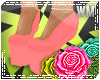 WM.(MaryjPlatform|Coral]