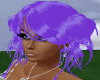 SM Dutch Purple Hair