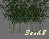 Bamboo Plant - Basinless