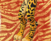 King Cheetah-Digi Legs