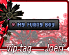 j| My Furry Boy-