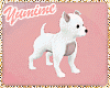 [Y] Chihuahua Puppy W