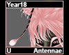 Year18 Antennae