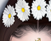 daisies hair