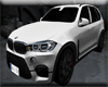 FW-  BMW X5