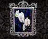 Orchid Framed 4