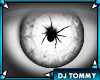 [T] Spider White Eyes