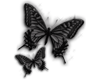 Butterfly - mariposas