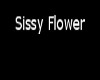 Sissys Flower