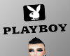 Playboy Sign Up