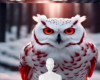 Owl red eyes background