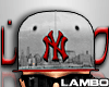 Ll NYC Fitted