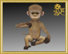 Baby Monkey Pet