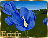 [Efr] Tulips Blue v2