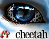 Wild.Eyes Cheetah (m)