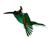 Animated giant  flybird
