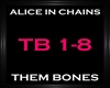 Alice In Chains-Them Bon