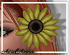 Hair Sunflower L