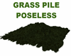 GRASS HILL/PILE POSELESS