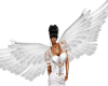 Angel wings 