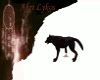 Black wolf pet