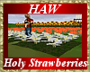 Holy Strawberries