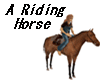 Horse Riding Horse
