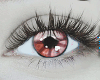 Eyes Mekury Red