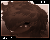Z; Kuw Hair M V6