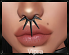 Hoop Black Spike Zell