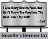 GDC Give Bird Food