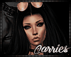 Abby Bundle