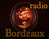 Bordeaux Painting Radio